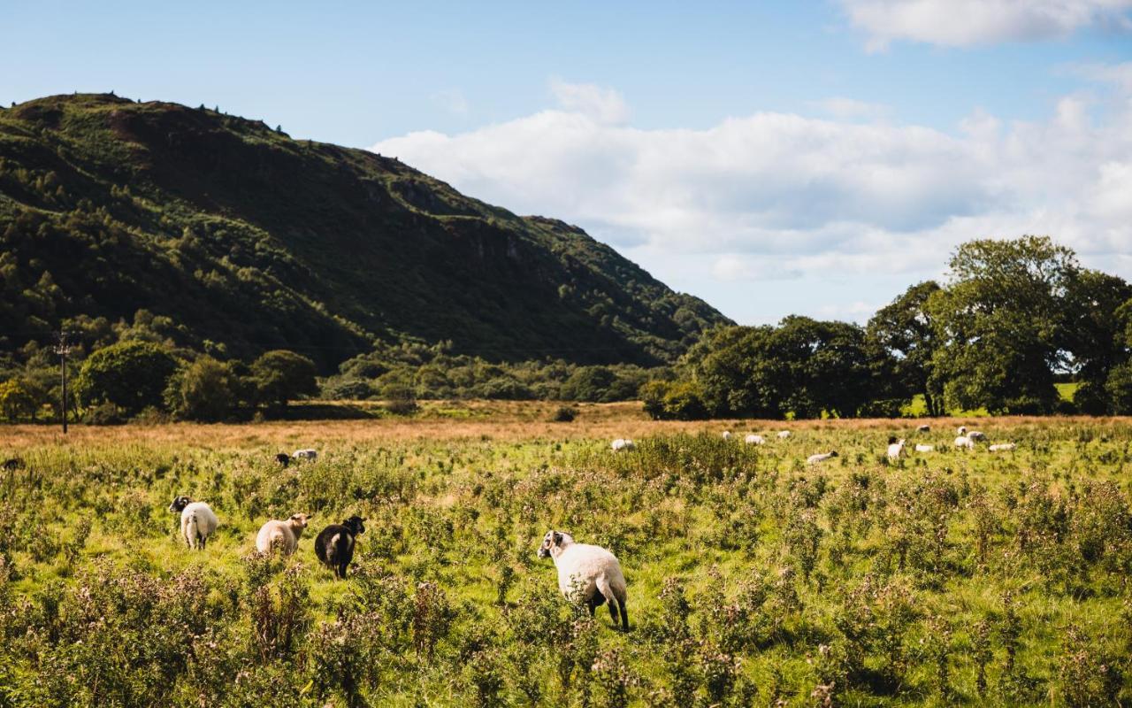 Bower House Inn Eskdale Luaran gambar