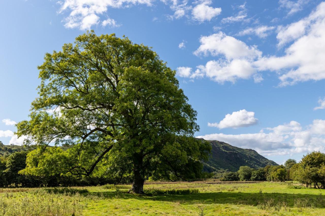 Bower House Inn Eskdale Luaran gambar